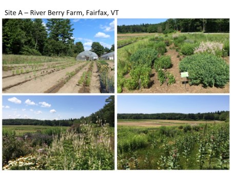 Seminar_Presentation_2016-siteA