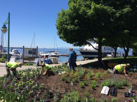 Burlington_Waterfront_Gardens2017-01